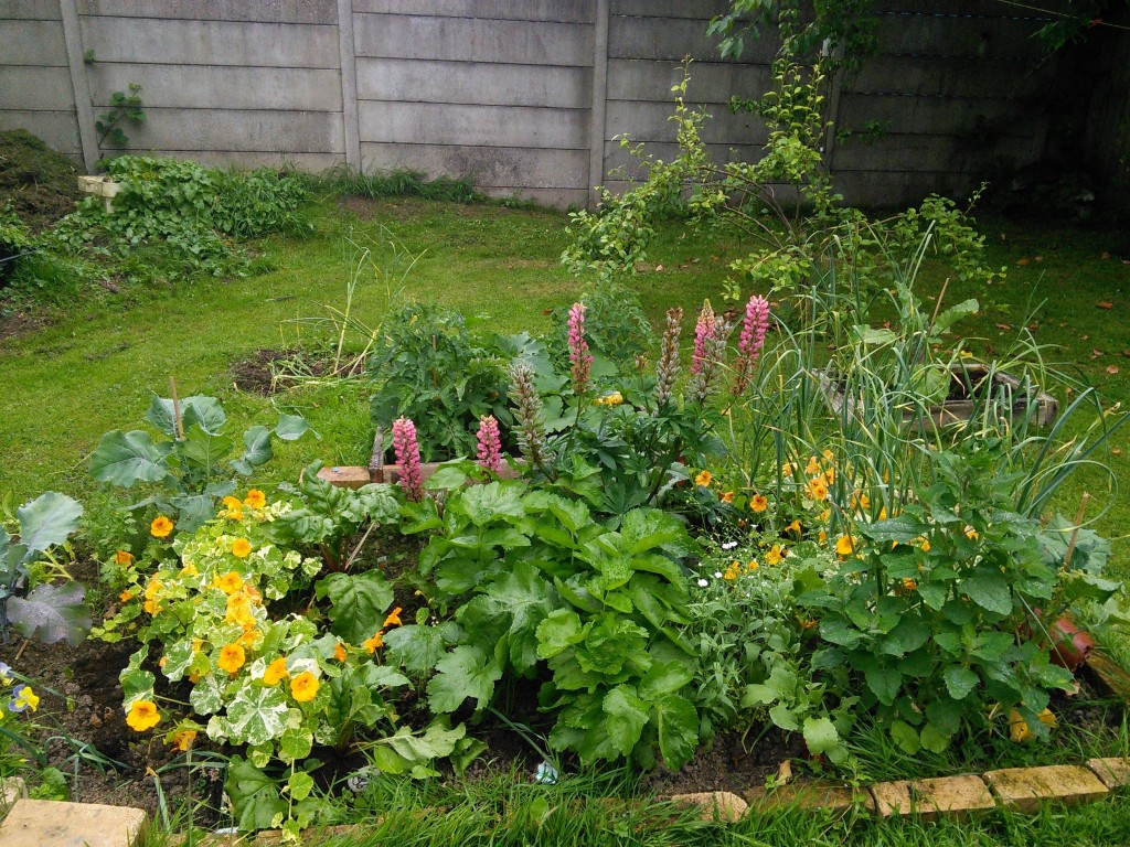 beautiful examples of customer gardens