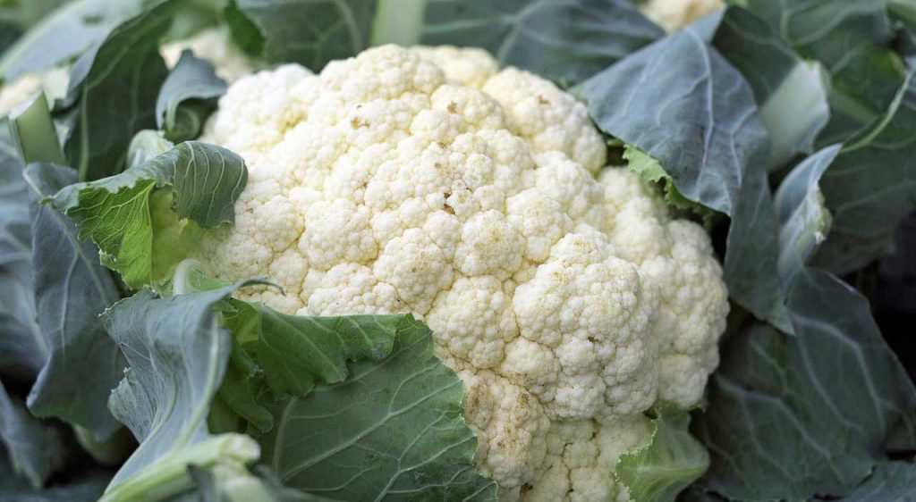 What vegetables are in season in an Irish Spring
