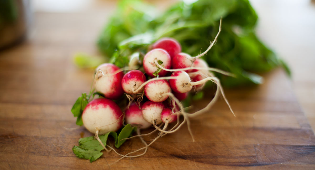 radishes are quick and easy to grow they are often the first spring crop so are a great thing to grow with children