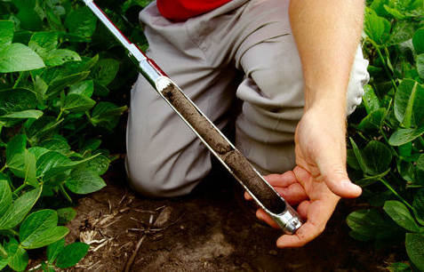 taking a soil sample, how good is your soil?
