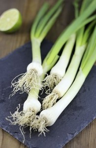what are spring onions, how do i grow spring onions