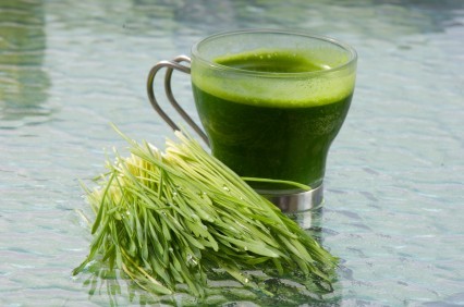 Shot of wheatgrass